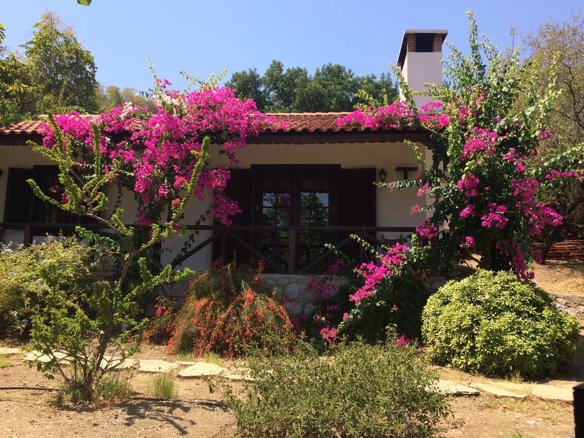 Selimiye Houses Exterior foto